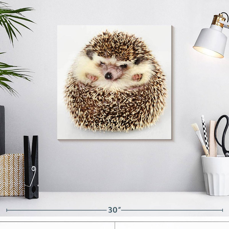 Crowle Curled Up Hedgehog, 16" H x 16" W