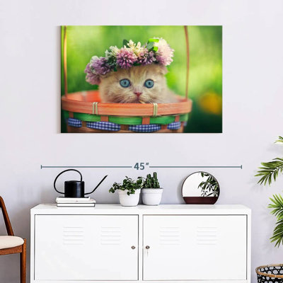 Brampt Garland Cat