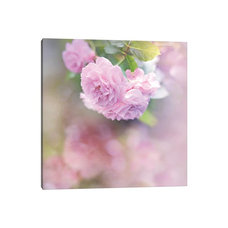 Graceful Floral by Sarah Gardner - Wrapped Canvas Gallery-Wrapped Canvas Giclée, 30.48 cm H x 30.48 cm W