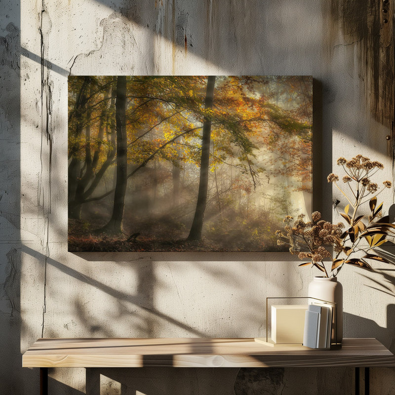 Wrapped Canvas Print, 50.8 cm H x 76.2 cm W
