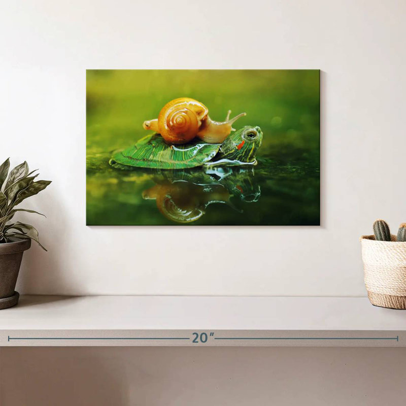 Brampt Snail On Turtle, 8" H x 12" W