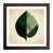 Walnut Framed