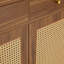 Armoire décorative, armoire à chaussures minimaliste moderne multifonctionnelle-1336378206