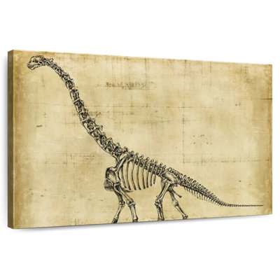 Brampt Brachiosaurus Study