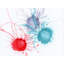 Orbits Evolve Print by KC Pollak-71200950-83317602-83317611