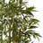 Thisbe 66'' Faux Bamboo Tree in Wood Planter