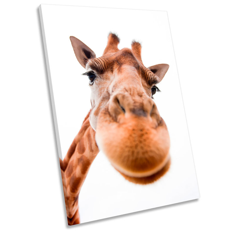 Giraffe Face Picture - Wrapped Canvas Print, 121.9cm H x 81.3cm W