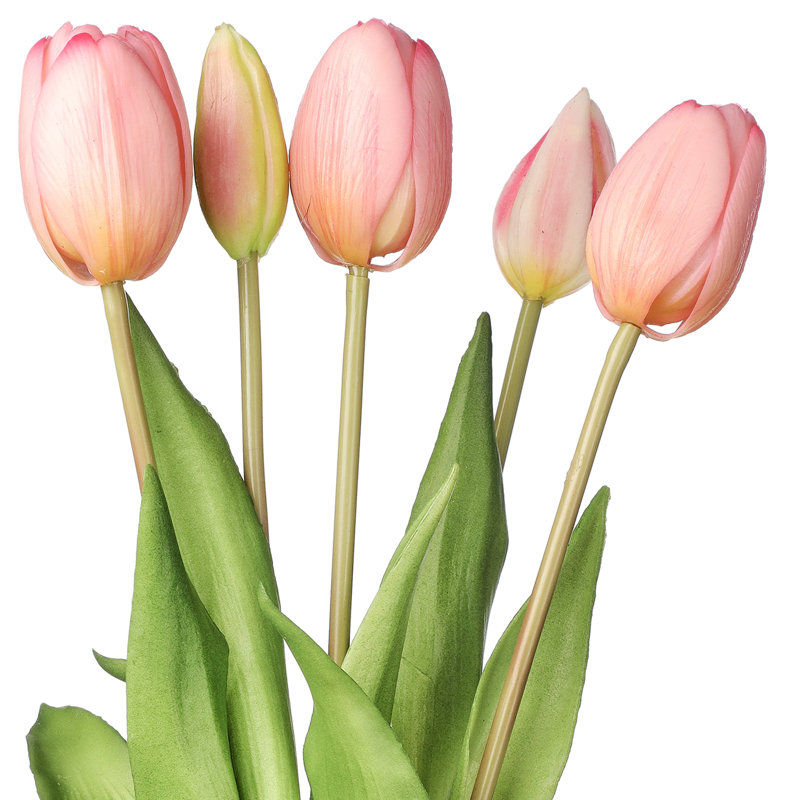 Tulip Arrangement, Blush Pink