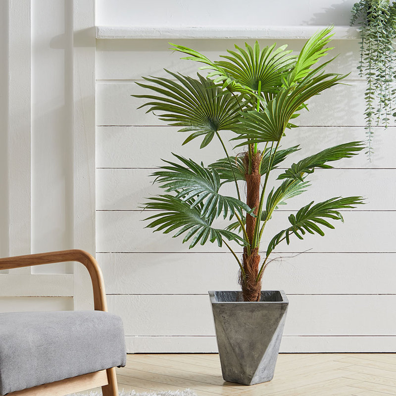 Faux Plant in Plastic Freestanding  Planter, 120cm H x 50cm W x 50cm D