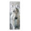 Standing Proud by Carol Robinson - Panoramic Painting on Canvas-1231987861-1218482472