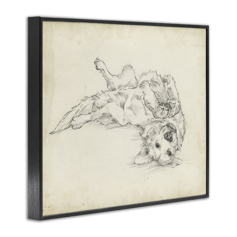Esquisse de chiot ludique, dessin par Ethan Harper, H 11 po x l 14 po, Giclée encadrée noir minuit