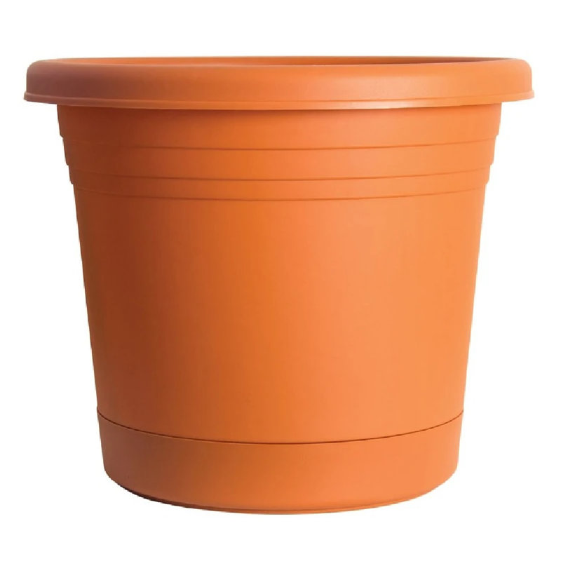 Jardinières en pot, Terre cuite, H 14 po x l 13 po x P 13 po