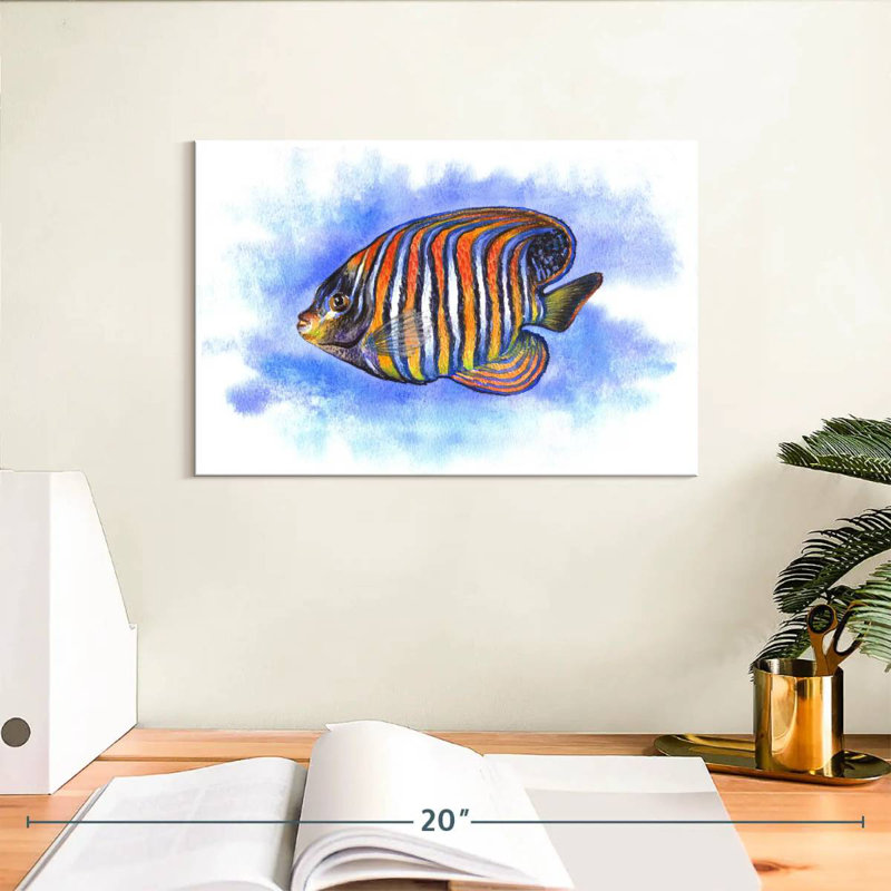 Aquarelle, poisson-ange royal, H 8 po x l 12 po