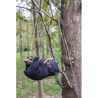 Ours suspendu, branche allongée