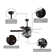 Juels 52'' Ceiling Fan with Light Kit