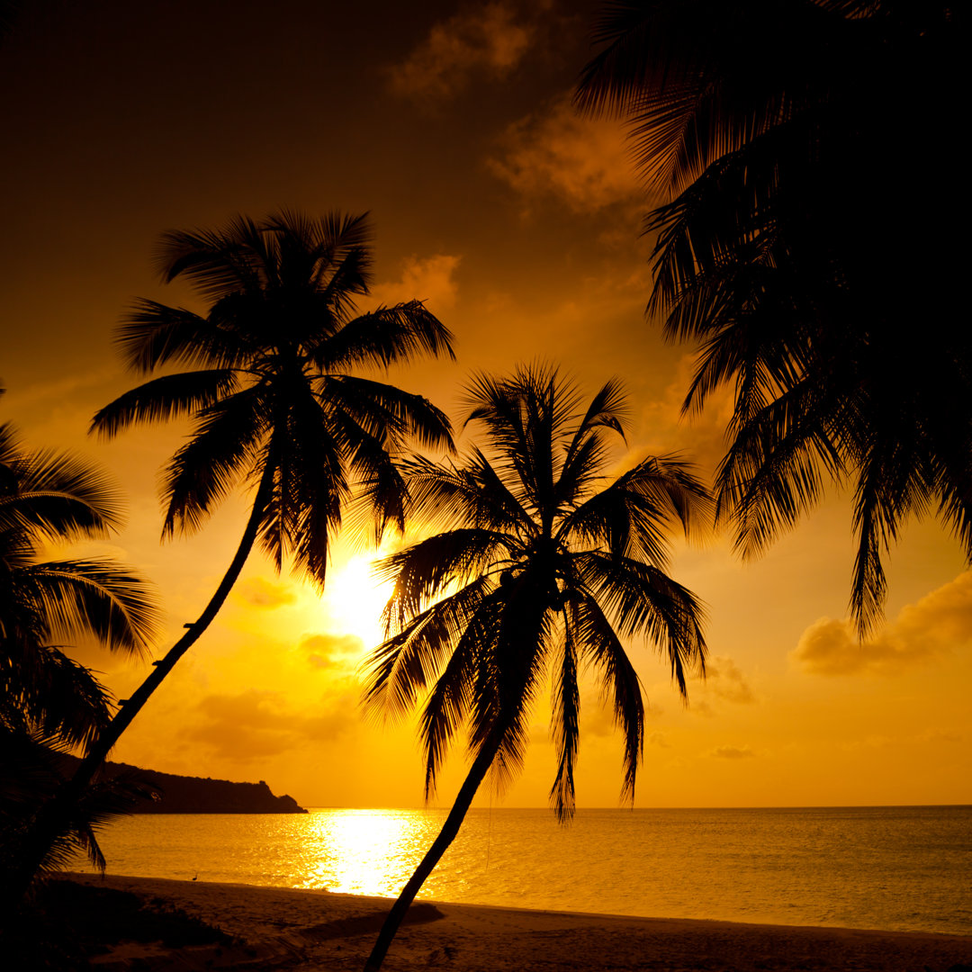 Sonnenuntergang an einem tropischen Strand in der Karibik von Cdwheatley - Kunstdrucke ohne Rahmen auf Leinwand