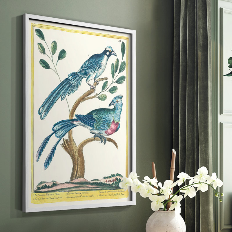 Pastel Birds VI Framed Print - Solid Wood, 20" H x 16" W, White