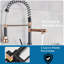 Belfry Kitchen Pershing Pull Out Kitchen Faucet