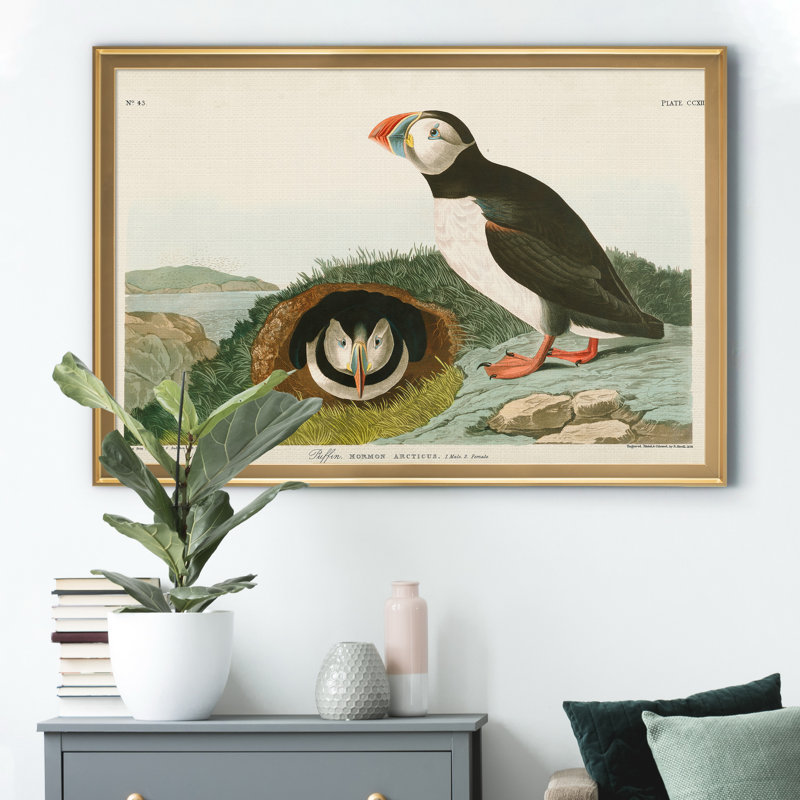 Macareux moine - reproduction d'art sur toile, H 30,5 po x l 42,5 po x P 1,5 po, Doré