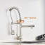 Belfry Kitchen Mascoutah Pull Out Kitchen Faucet
