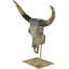 Wetherill Animals Bust