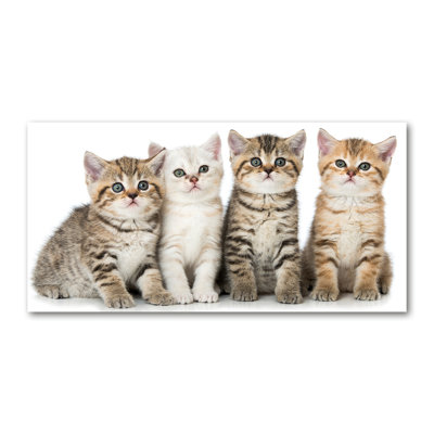 Small Cats - Wrapped Canvas Print