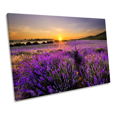 X0871 Sunset Lavender Floral Field Landscape - Wrapped Canvas Print