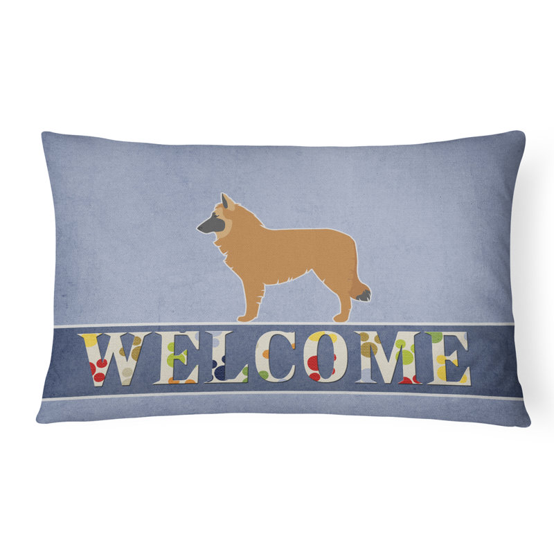  Coussin Belge