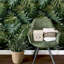 Papier peint Harlynn Green Monstera