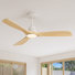 Karlena 52'' Ceiling Fan with LED Lights (Set of 2)