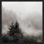 «Rising Mist, Smoky Mountains» par Nicholas Bell - photographie-1619123781-1619123789