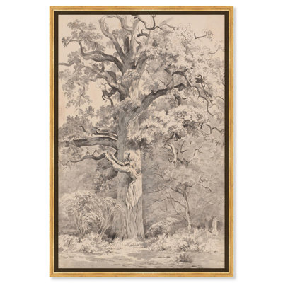 «Giant Oak at Forest», art vintage par Art Remedy