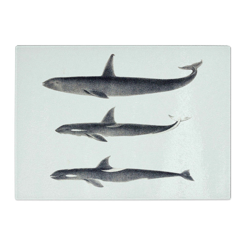 Tempered Glass Orca Killer Whales by C.M. Scammon Chopping Board, 39 cm W x 28.5 cm L