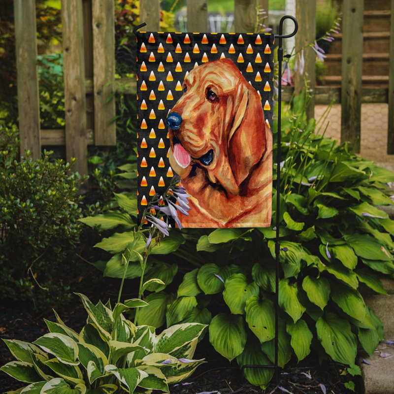 Burniece Double Sided 15'' H x 11'' W Polyester Animal Garden Flag, Bloodhound