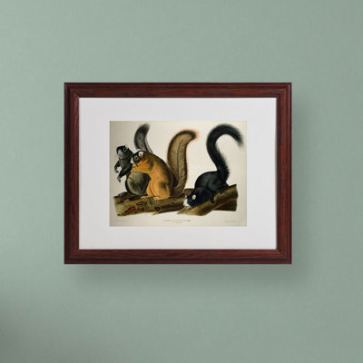 Cadre photo "fox écureuil" , impression sur toile