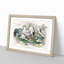 Crane, Stork, Egret & Heron by Oliver Goldsmith - Picture Frame Painting Print-55490286-55490291