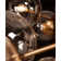 Global 16 - Light Chandelier