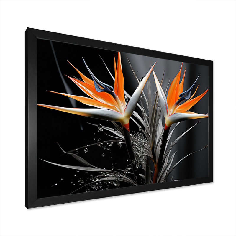 Oiseaux du paradis exotique - imprimé, Cadre photo noir, H 30 po x l 40 po x P 1,5 po