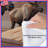 Two Majestic Moose Comforter-123417914