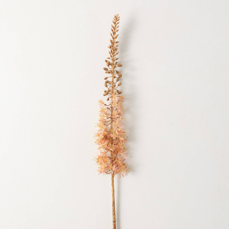 Arrangement Eremurus, Pêche