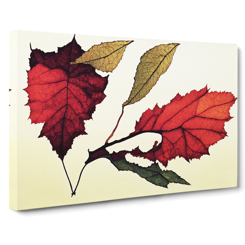 Enlightening Autumn Leaf - Wrapped Canvas, 35cm H x 50cm W x 3cm D