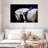 Sireci White Horse And Equestrian-107687577