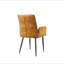 Chaises de salle à manger-2051367479