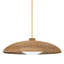 Delano 1 - Light Pendant