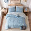 Striped and Paisley Comforter Set