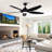 Dainius 60'' Ceiling Fan with LED Lights-1186083662