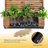 Planter Wall Metal Garden Bed Trellis, Elevated Planter Pot with Drainage & Lockable Wheels, Ideal for Climbing Plants, Vegetables, and Roses – Louver Pattern for Garden Enthusiasts-836050379-836050382