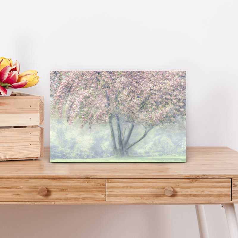 «Misty Cherry Blossoms Delicate Dreamy Ethereal», H 12 po x l 18 po