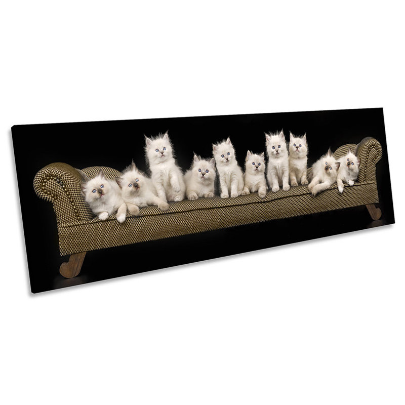 Cute Kitten Cats Sofa - Wrapped Canvas Panoramic Art Prints, 30.48cm H x 91.44cm D