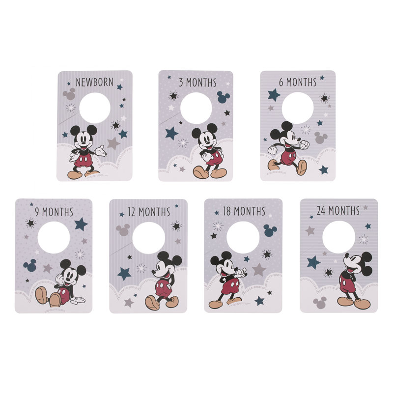Organisateur suspendu en tissu Disney Baby Closet Dividers